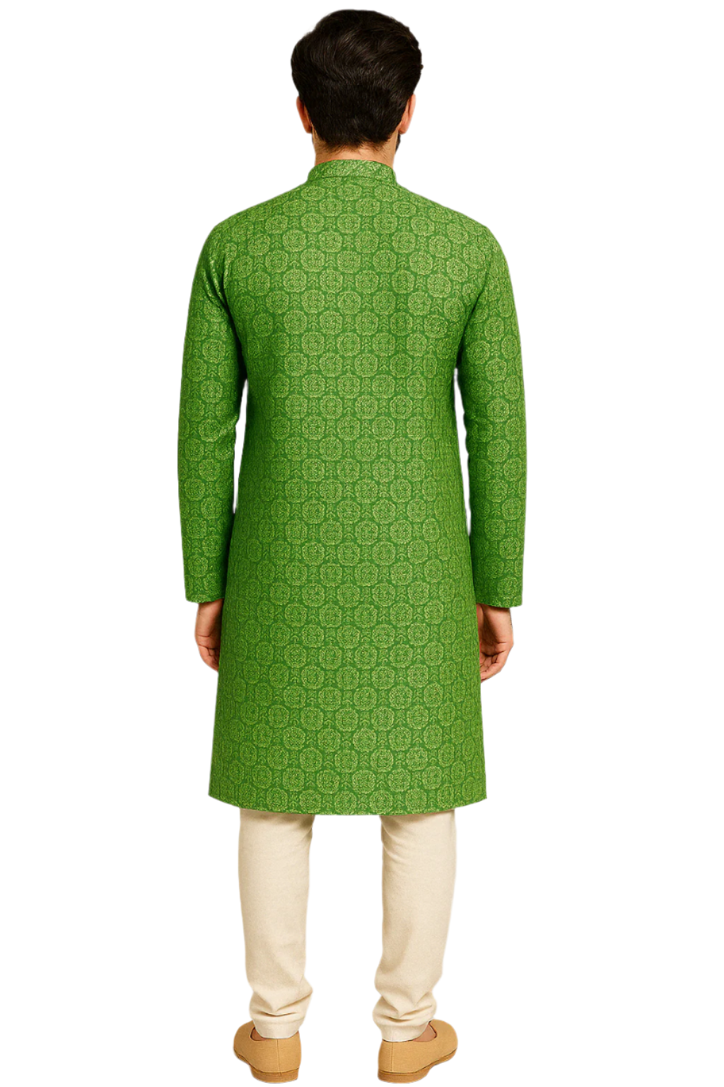 Pastel Green Jacquard Printed Kurta with Embroidered Placket